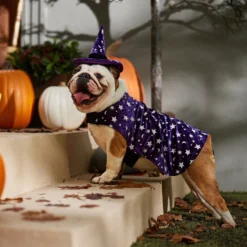 Frisco Cosmic Witch Dog & Cat Costume -Pawsphoria Sales Store 708982 PT7. AC SS1800 V1689350987