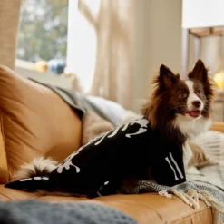 Frisco Glow In The Dark Skeleton Dog & Cat Costume -Pawsphoria Sales Store 709038 PT7. AC SS1800 V1689350988