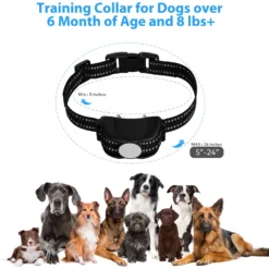 Petdiary Rechargeable Advanced Remote Training Dog Collar, Black/Silver, Medium -Pawsphoria Sales Store 711582 PT4. AC SS1800 V1671733300