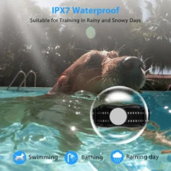 Petdiary Rechargeable Advanced Remote Training Dog Collar, Black/Silver, Medium -Pawsphoria Sales Store 711582 PT7. AC SS1800 V1671733250