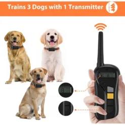 Petdiary Rechargeable Advanced Remote Dog Trainer Accessory, Black, Large -Pawsphoria Sales Store 711630 PT5. AC SS1800 V1671733303