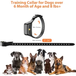 Petdiary Rechargeable Advanced Remote Dog Trainer Accessory, Black, Large -Pawsphoria Sales Store 711630 PT7. AC SS1800 V1671723443