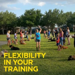 Dogtra ARC Handsfree Plus Additional Receiver Dog Remote Training Collar, Orange -Pawsphoria Sales Store 712987 PT3. AC SS1800 V1668628227