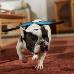 Frisco Magical Butterfly Wings Dog & Cat Costume Accessory -Pawsphoria Sales Store 713062 PT7. AC SS1800 V1689354962