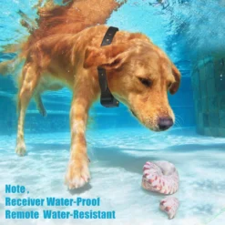 PATPET P630 1800-foot Vibration & Sound Remote Dog Training Collar 7 PATPET P630 1800-foot Vibration & Sound Remote Dog Training Collar -Pawsphoria Sales Store 716646 PT3. AC SS1800 V1670451674