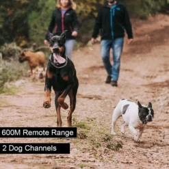 PATPET P620B 2000-foot Adult Dog Training Shock Collar With Remote -Pawsphoria Sales Store 716662 PT3. AC SS1800 V1669678801