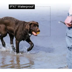 PATPET P620B 2000-foot Adult Dog Training Shock Collar With Remote -Pawsphoria Sales Store 716662 PT5. AC SS1800 V1669680119