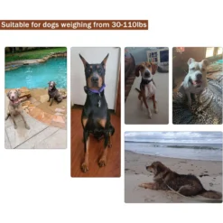 PATPET P620B 2000-foot Adult Dog Training Shock Collar With Remote -Pawsphoria Sales Store 716662 PT6. AC SS1800 V1669679836