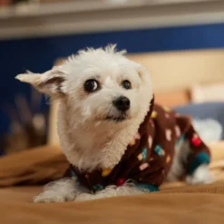 Frisco Cozy Plush Fleece Dog & Cat PJs, Mushrooms -Pawsphoria Sales Store 718950 PT7. AC SS1800 V1692378098