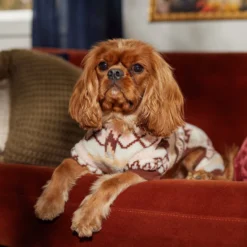 Frisco Fairisle Cozy Plush Fleece Dog & Cat PJs, Cream -Pawsphoria Sales Store 719006 PT7. AC SS1800 V1692376367