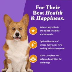 Halo Holistic Complete Digestive Health Grain-Free Chicken & Sweet Potato Dog Food Recipe Small Breed Dry Dog Food -Pawsphoria Sales Store 721942 PT6. AC SS1800 V1669838159