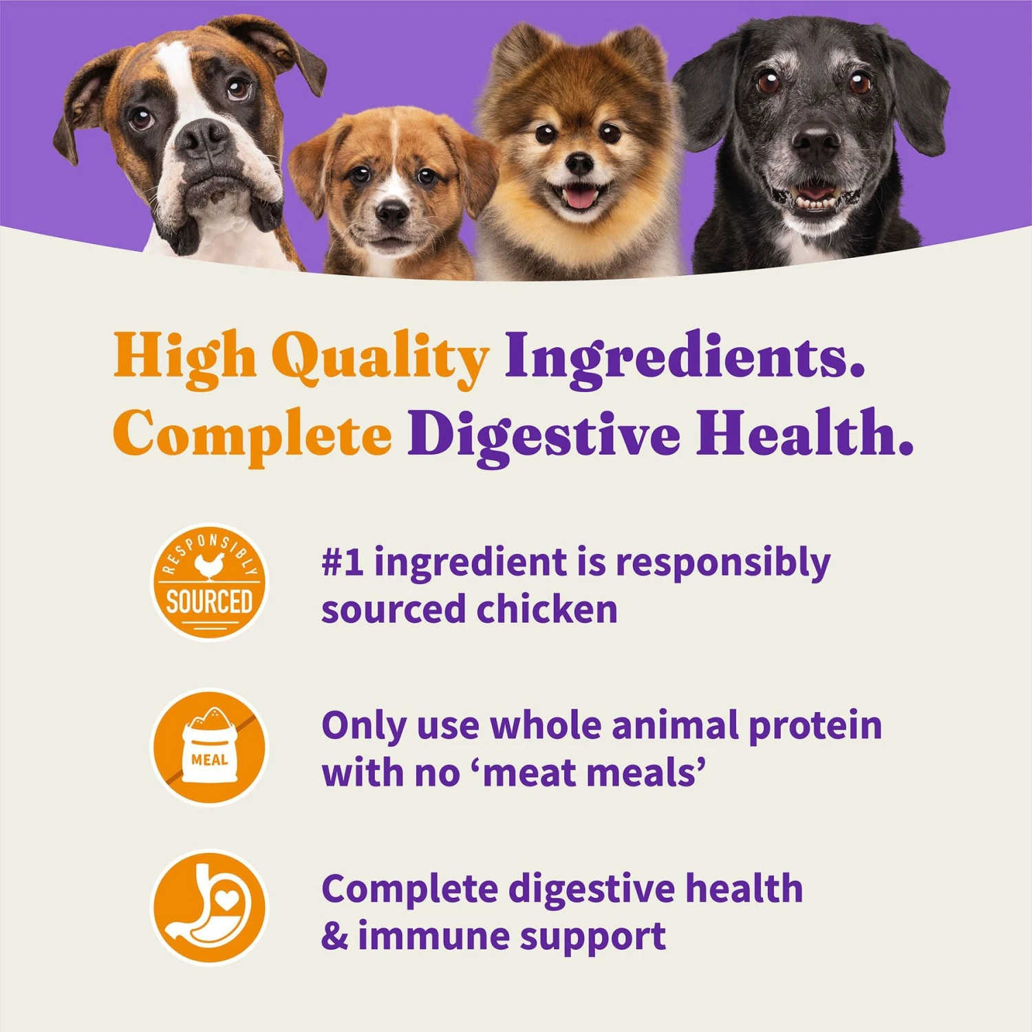 Halo Holistic Complete Digestive Health Grain-Free Chicken & Sweet Potato Dog Food Recipe Adult Dry Dog Food 3 Halo Holistic Complete Digestive Health Grain-Free Chicken & Sweet Potato Dog Food Recipe Adult Dry Dog Food - Image 3