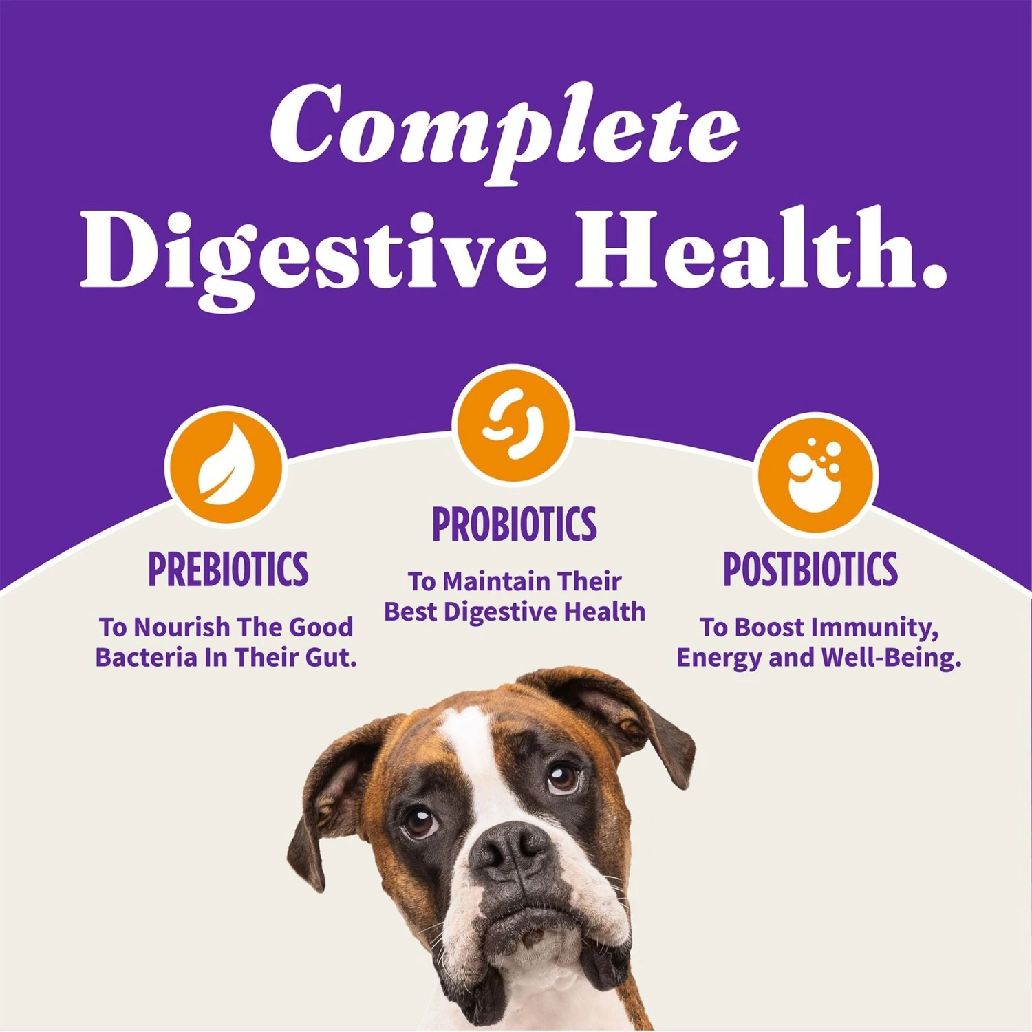 Halo Holistic Complete Digestive Health Grain-Free Chicken & Sweet Potato Dog Food Recipe Adult Dry Dog Food 5 Halo Holistic Complete Digestive Health Grain-Free Chicken & Sweet Potato Dog Food Recipe Adult Dry Dog Food - Image 5