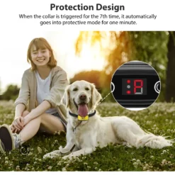 Petdiary Dog Bark Control Collar, Black -Pawsphoria Sales Store 727134 PT2. AC SS1800 V1675868159