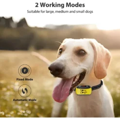 Petdiary Dog Bark Control Collar, Black -Pawsphoria Sales Store 727134 PT4. AC SS1800 V1675868152