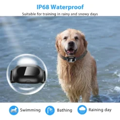 Petdiary Rechargeable & Waterpoof Electric Dog Training Collar, Black -Pawsphoria Sales Store 727150 PT3. AC SS1800 V1675868098