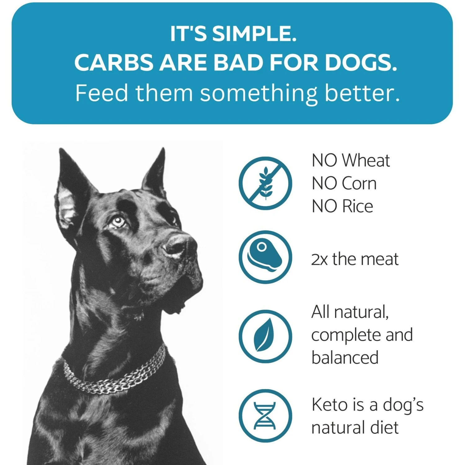 KetoNatural Ketona Salmon Recipe Grain-Free Adult Dry Dog Food 3 KetoNatural Ketona Salmon Recipe Grain-Free Adult Dry Dog Food - Image 3