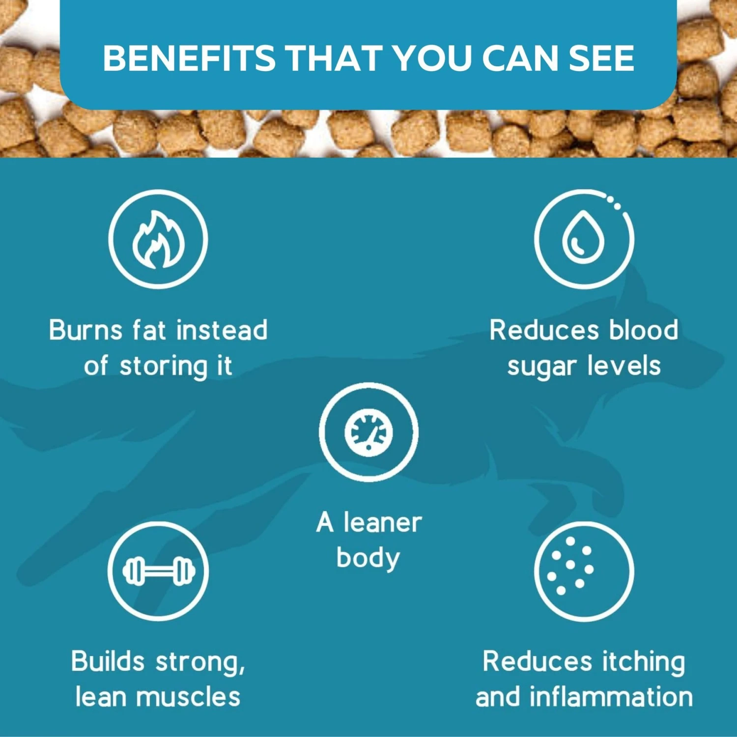 KetoNatural Ketona Salmon Recipe Grain-Free Adult Dry Dog Food 8 KetoNatural Ketona Salmon Recipe Grain-Free Adult Dry Dog Food - Image 8