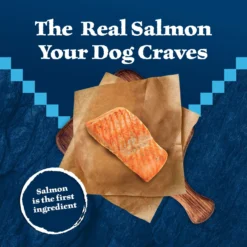 Blue Buffalo Wilderness Adult High Protein Natural Salmon & Wholesome Grains Dry Dog Food -Pawsphoria Sales Store 733494 PT2. AC SS1800 V1694550753