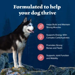 Blue Buffalo Wilderness Adult High Protein Natural Salmon & Wholesome Grains Dry Dog Food -Pawsphoria Sales Store 733494 PT3. AC SS1800 V1694550811