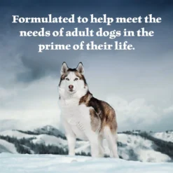 Blue Buffalo Wilderness Beef & Salmon Variety Pack Wet Dog Food 11 Blue Buffalo Wilderness Beef & Salmon Variety Pack Wet Dog Food -Pawsphoria Sales Store 735422 PT3. AC SS1800 V1671574470