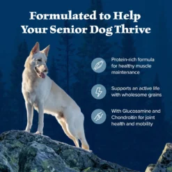 Blue Buffalo Wilderness Senior High Protein Natural Chicken & Wholesome Grains Dry Dog Food -Pawsphoria Sales Store 735454 PT3. AC SS1800 V1694547716