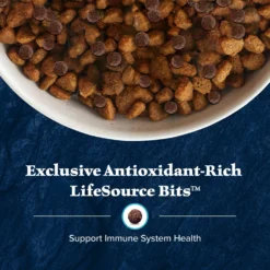 Blue Buffalo Wilderness Senior High Protein Natural Chicken & Wholesome Grains Dry Dog Food -Pawsphoria Sales Store 735454 PT6. AC SS1800 V1694549468