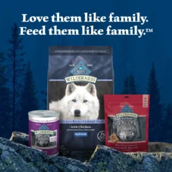 Blue Buffalo Wilderness Senior High Protein Natural Chicken & Wholesome Grains Dry Dog Food -Pawsphoria Sales Store 735454 PT8. AC SS1800 V1694538072
