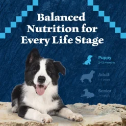 Blue Buffalo Wilderness Large Breed Puppy High Protein Natural Chicken & Wholesome Grains Dry Dog Food, 28-lb Bag -Pawsphoria Sales Store 735534 PT7. AC SS1800 V1694549347