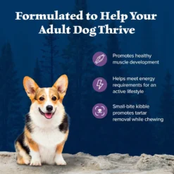 Blue Buffalo Wilderness Adult Small Bite High Protein Natural Chicken & Wholesome Grains Dry Dog Food -Pawsphoria Sales Store 735670 PT3. AC SS1800 V1694548888