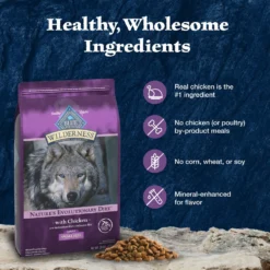 Blue Buffalo Wilderness Adult Small Bite High Protein Natural Chicken & Wholesome Grains Dry Dog Food -Pawsphoria Sales Store 735670 PT5. AC SS1800 V1694548944