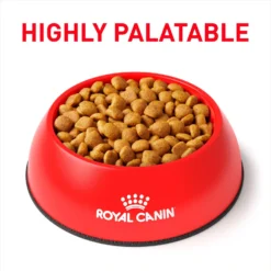 Royal Canin Veterinary Diet Adult Mature Consult Medium Breed Dry Dog Food -Pawsphoria Sales Store 73706 PT2. AC SS1800 V1694463361