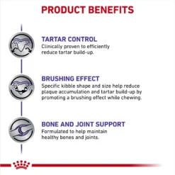 Royal Canin Veterinary Diet Adult Dental Medium & Large Breed Dry Dog Food -Pawsphoria Sales Store 73707 PT4. AC SS1800 V1694464651