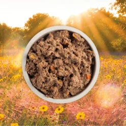 ACANA Premium Pate Puppy Recipe In Bone Broth Grain-Free Wet Dog Food 12 ACANA Premium Pate Puppy Recipe In Bone Broth Grain-Free Wet Dog Food -Pawsphoria Sales Store 741334 PT3. AC SS1800 V1681936484