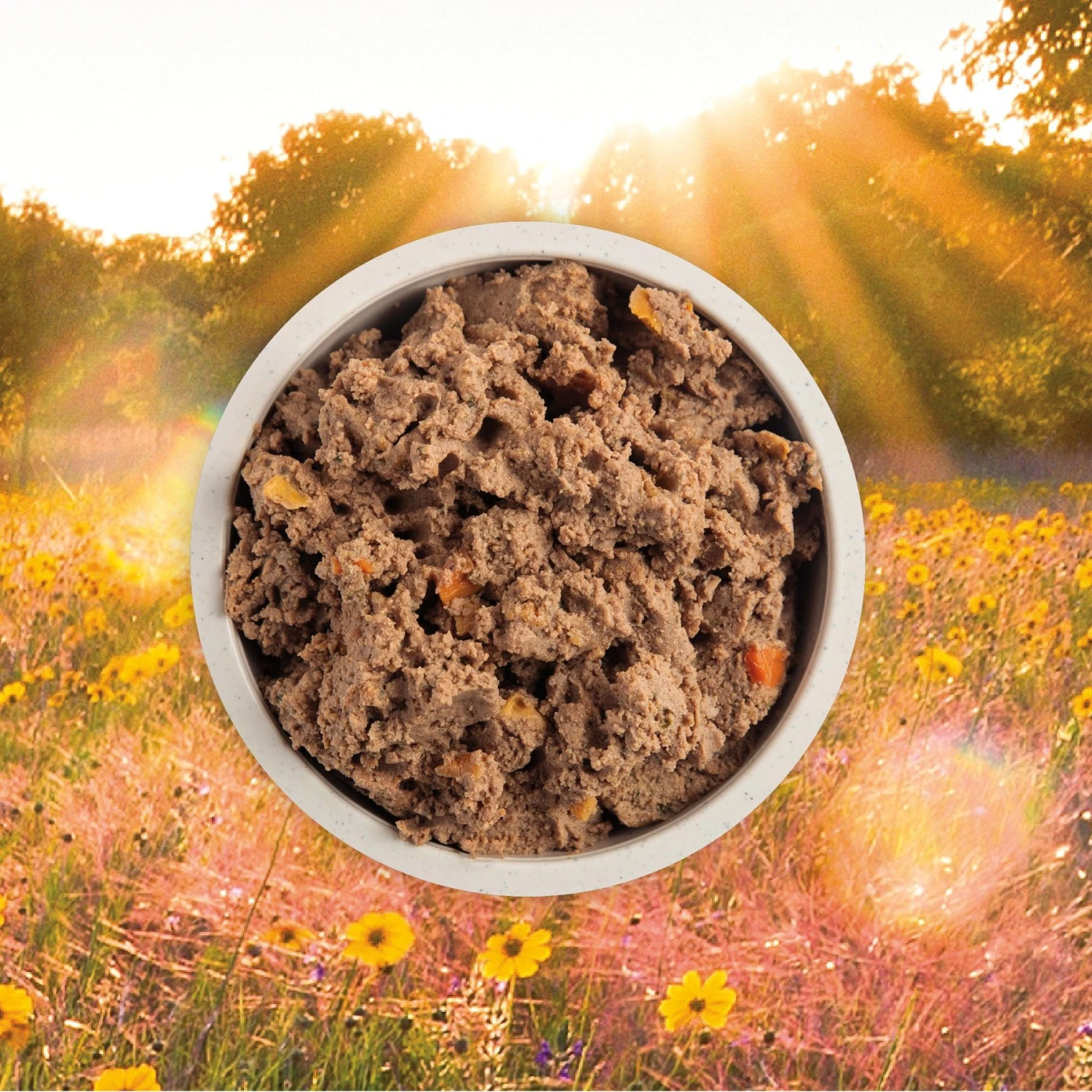 ACANA Premium Pate Puppy Recipe In Bone Broth Grain-Free Wet Dog Food 4 ACANA Premium Pate Puppy Recipe In Bone Broth Grain-Free Wet Dog Food - Image 4