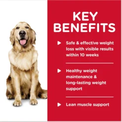 Hill's Science Diet Adult Perfect Weight Chicken & Vegetables Entree Canned Dog Food -Pawsphoria Sales Store 74193 PT4. AC SS1800 V1609810046