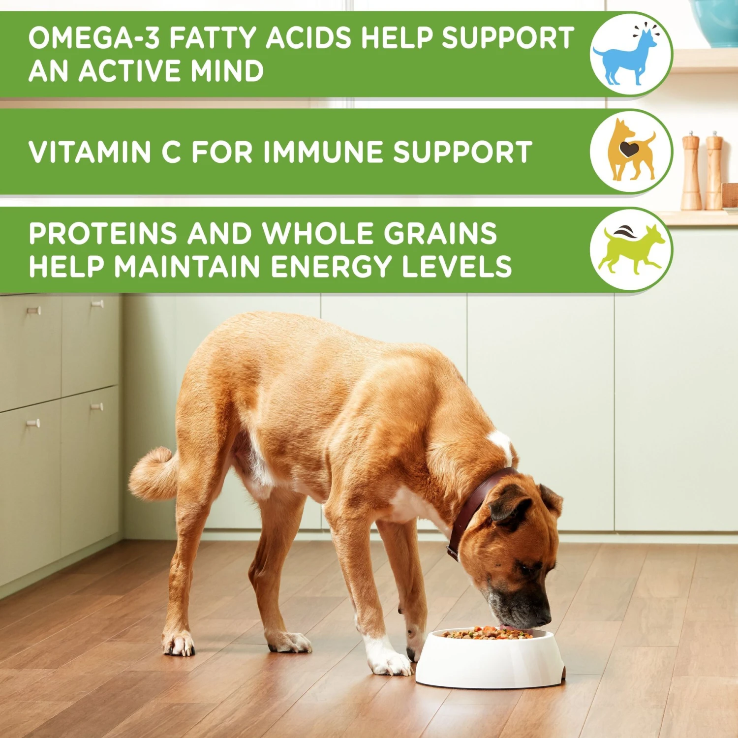 Rachael Ray Nutrish Chunks In Gravy Real Chicken & Veggies Dog Wet Food, 13-oz Can, 12 Count 4 Rachael Ray Nutrish Chunks In Gravy Real Chicken & Veggies Dog Wet Food, 13-oz Can, 12 Count - Image 4