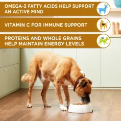 Rachael Ray Nutrish Chunks In Gravy Variety Pack Dog Wet Food, 13-oz Can, 12 Count -Pawsphoria Sales Store 742118 PT3. AC SS1800 V1671210902