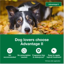 Advantage II Flea Treatment For Dogs, 21-55 Lbs 11 Advantage II Flea Treatment For Dogs, 21-55 Lbs -Pawsphoria Sales Store 74392 PT2. AC SS1800 V1680192819