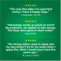 Advantage II Flea Treatment For Dogs, 21-55 Lbs 16 Advantage II Flea Treatment For Dogs, 21-55 Lbs -Pawsphoria Sales Store 74392 PT7. AC SS1800 V1680192787