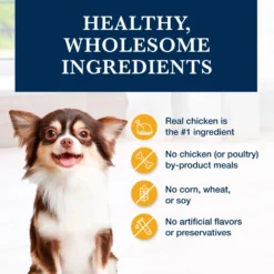 Blue Buffalo Natural Veterinary Diet KS Kidney Support Dry Dog Food 14 Blue Buffalo Natural Veterinary Diet KS Kidney Support Dry Dog Food -Pawsphoria Sales Store 744862 PT5. AC SS1800 V1695495225
