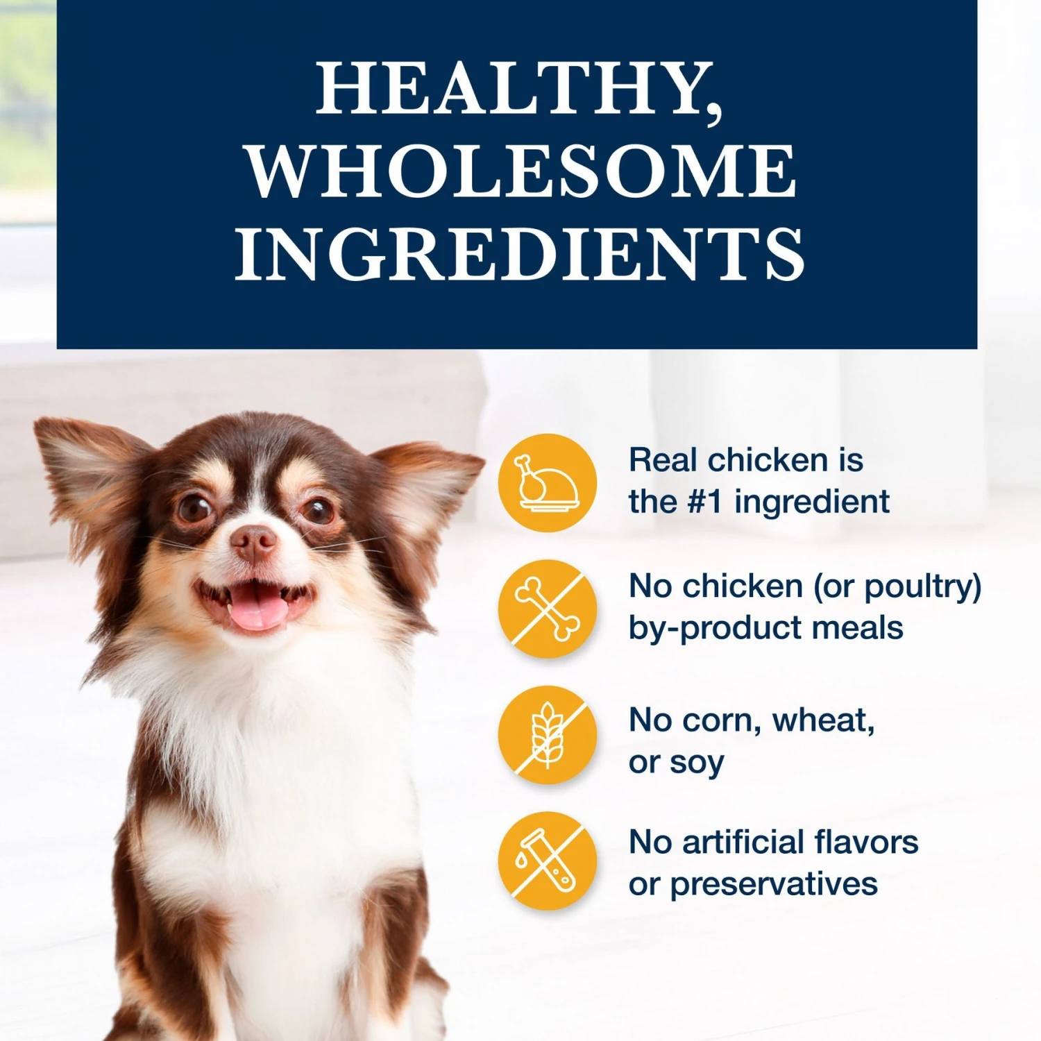 Blue Buffalo Natural Veterinary Diet KS Kidney Support Dry Dog Food 6 Blue Buffalo Natural Veterinary Diet KS Kidney Support Dry Dog Food - Image 6