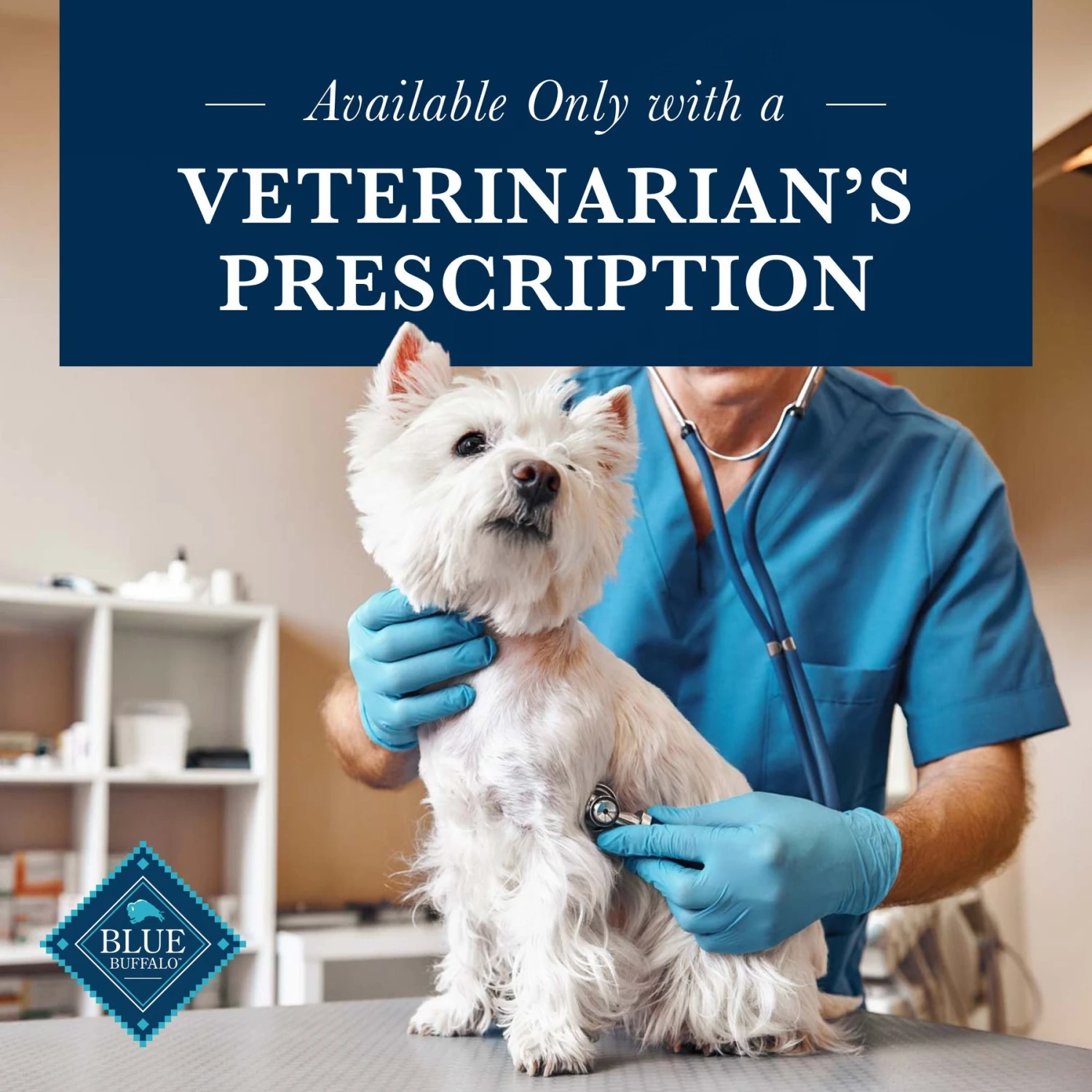 Blue Buffalo Natural Veterinary Diet KS Kidney Support Dry Dog Food 7 Blue Buffalo Natural Veterinary Diet KS Kidney Support Dry Dog Food - Image 7