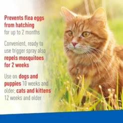 Adams® Adams Topical Flea & Tick Spray For Dogs & Cats -Pawsphoria Sales Store 74673 PT3. AC SS1800 V1658198445
