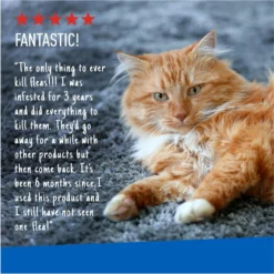 Adams® Adams Flea & Tick Carpet Powder -Pawsphoria Sales Store 74734 PT5. AC SS1800 V1682708504