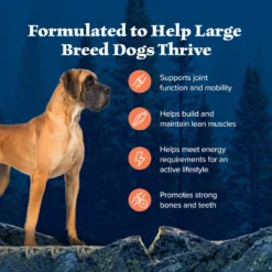 Blue Buffalo Wilderness Large Breed Adult High Protein Natural Chicken & Wholesome Grains Dry Dog Food -Pawsphoria Sales Store 748294 PT3. AC SS1800 V1694549409