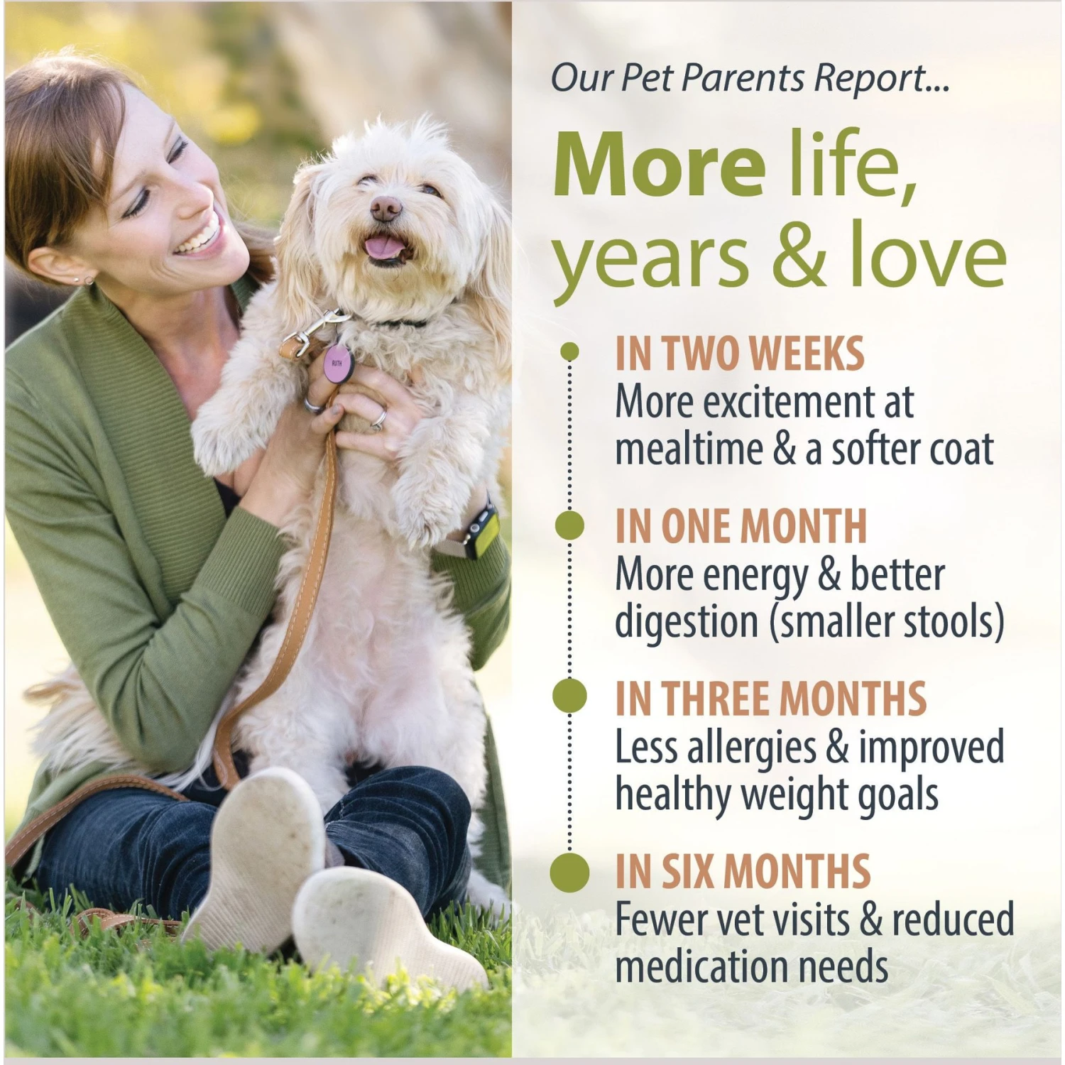 JustFoodForDogs Pantry Fresh Beef, Chicken & Turkey Variety Pack Dog Fresh Food, 12.5-oz Bag, Case Of 6 7 JustFoodForDogs Pantry Fresh Beef, Chicken & Turkey Variety Pack Dog Fresh Food, 12.5-oz Bag, Case Of 6 - Image 7