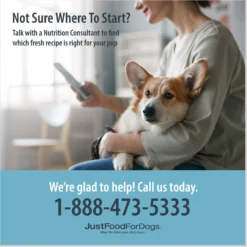 JustFoodForDogs Pantry Fresh Lamb & Brown Rice Fresh Dog Food -Pawsphoria Sales Store 749886 PT6. AC SS1800 V1696533827