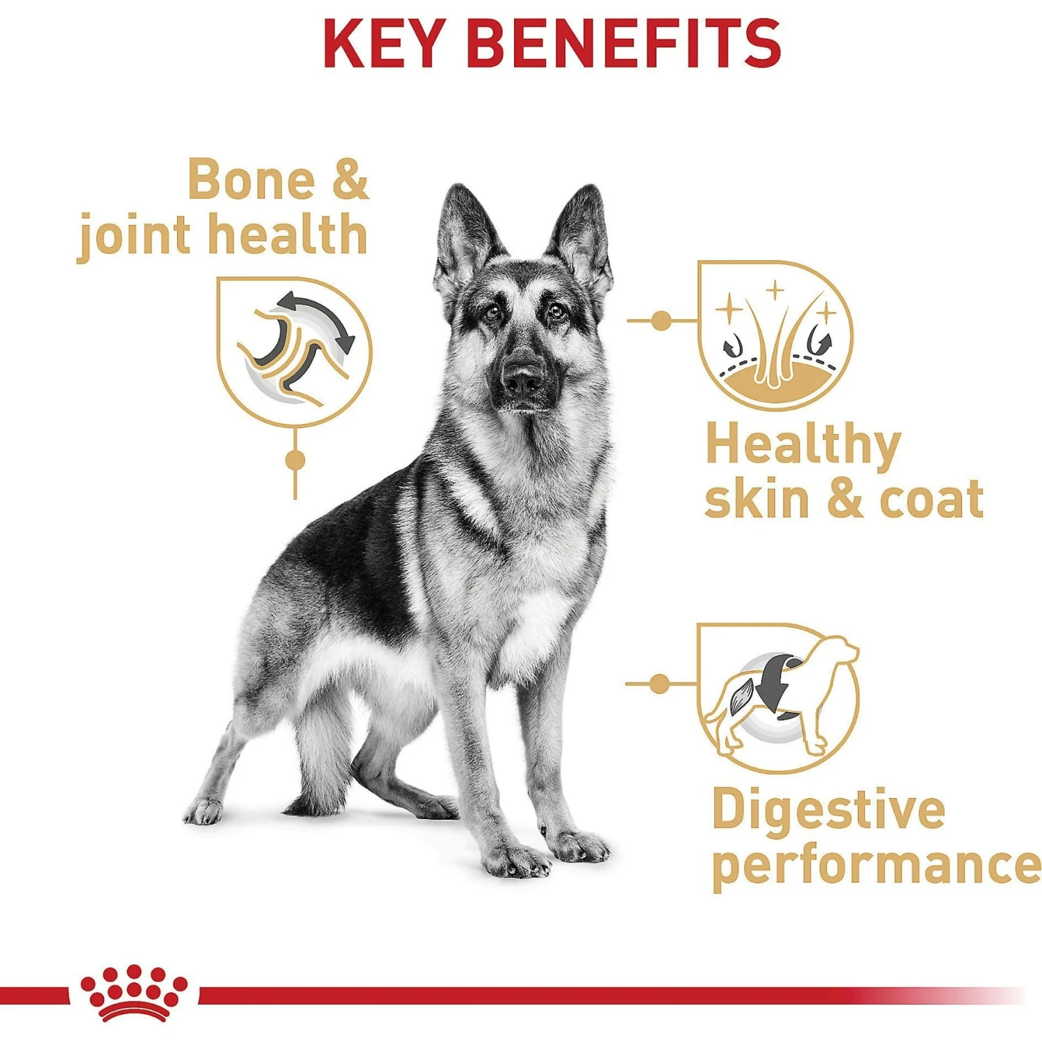 Royal Canin Breed Health Nutrition German Shepherd Adult Dry Dog Food 5 Royal Canin Breed Health Nutrition German Shepherd Adult Dry Dog Food - Image 5
