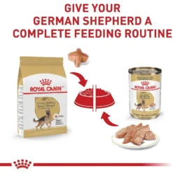 Royal Canin Breed Health Nutrition German Shepherd Adult Dry Dog Food 14 Royal Canin Breed Health Nutrition German Shepherd Adult Dry Dog Food -Pawsphoria Sales Store 75164 PT5. AC SS1800 V1697213803
